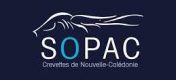 sopac-olcv6nsc7u7a5tcjxdilyt0p76o5367u3tg2zampds